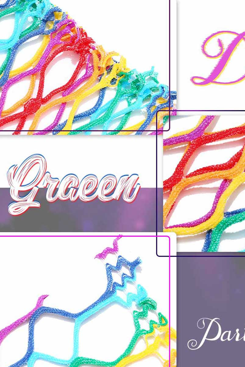 Multicolor Transparent Net Set