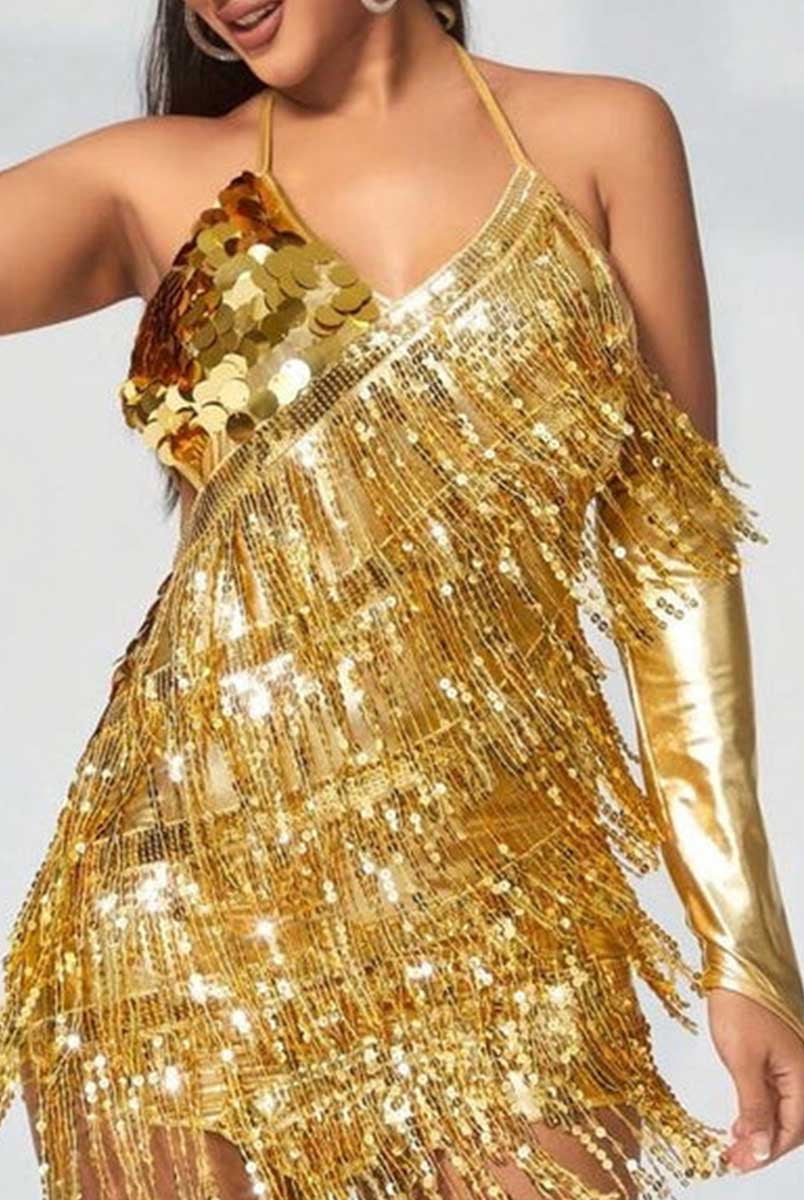 Sparkling Gold Sequin Dress with Fringe Detailing and Sleeves
