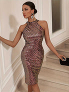 Sleeveless Bodycon Dress with Round Neck and Sequins