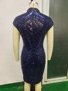 Bodycon Dress - Sequin with Mandarin Collar Detail