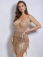 Fringe Sheer Mesh Sequin Evening Gown